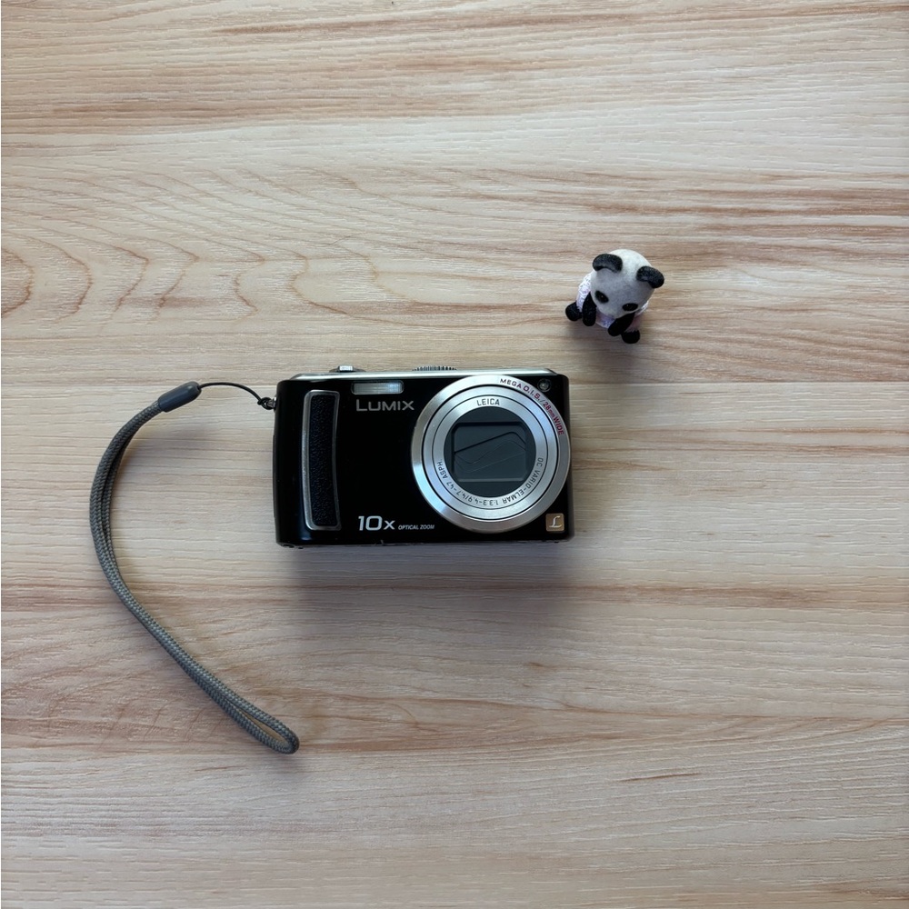 Panasonic Lumix Silver and Black Camera